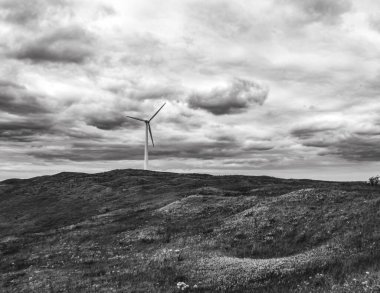 Tepedeki yel değirmeninin gri tonlu görüntüsü.