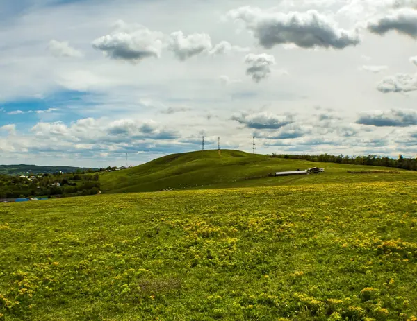 Çiçek tarlası ve mavi gökyüzü olan güzel bir manzara.