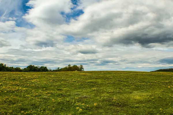 Çimen tarlası olan güzel bir manzara.