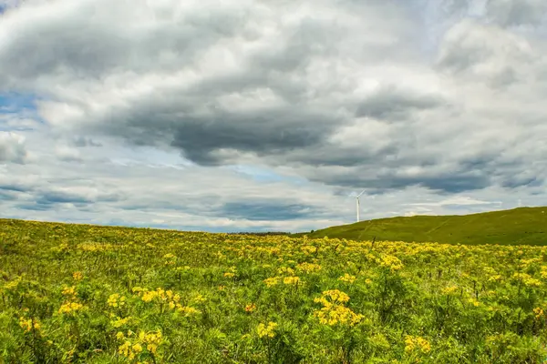 Bulutlu gökyüzü ile güzel bir dağ manzarası