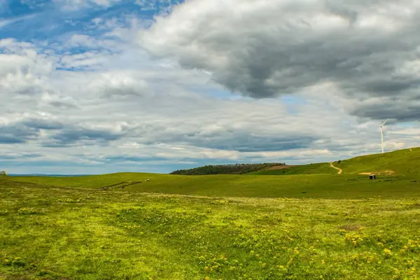 Yeşil çimenleri ve mavi gökyüzü olan güzel bir tarla manzarası.