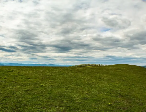 yeşil alan ve mavi gökyüzü güzel manzara