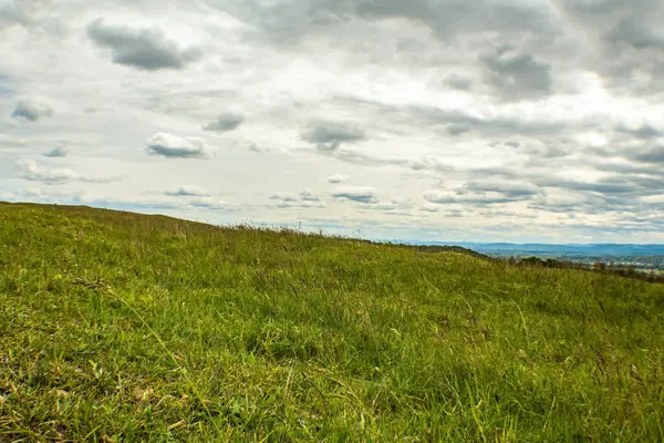 Mavi gökyüzü arkaplanlı güzel yeşil alan