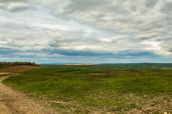Çimen tarlası ve mavi gökyüzü olan güzel bir manzara.