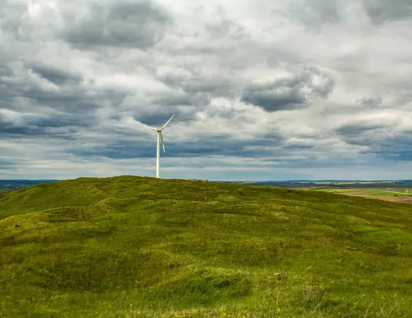Arka planda rüzgar türbinleri olan yeşil alan