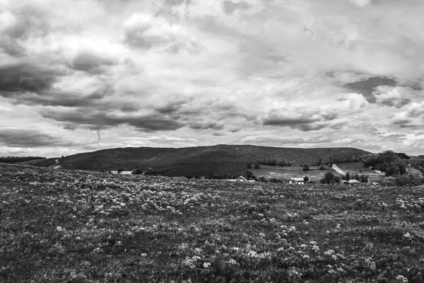 Güzel bir manzaranın siyah beyaz fotoğrafı