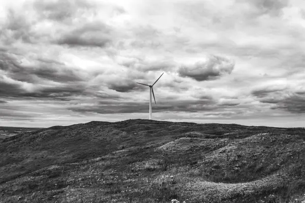 bir dağ manzarasının siyah beyaz fotoğrafı.