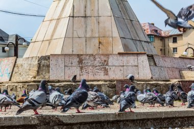 Eski kasaba meydanında güvercinler
