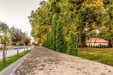 Şehir sokaklarının güzel manzarası