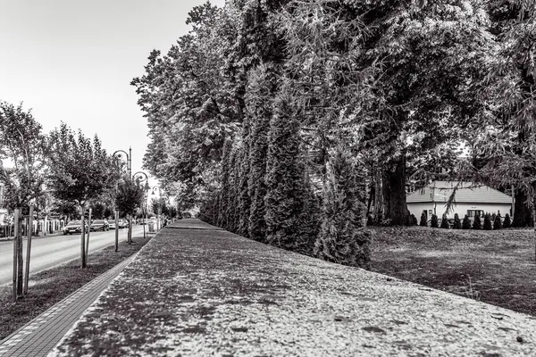 Parkın güzel manzarası