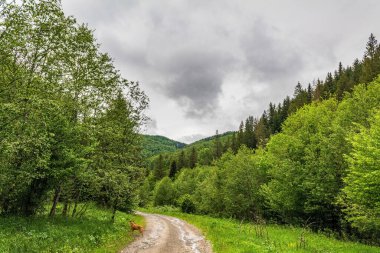 Bulutlu bir günde dağ manzarası