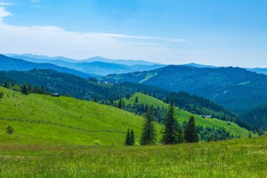 Yeşil çimleri ve ormanları olan güzel dağ manzarası