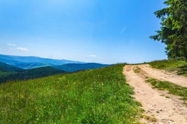 Karpat Dağlarının güzel manzarası