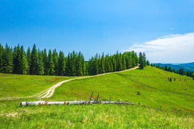 Ukrayna 'daki Karpatların güzel manzarası