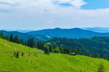 Güzel mavi gökyüzü olan yeşil tepeler ve ağaçlar