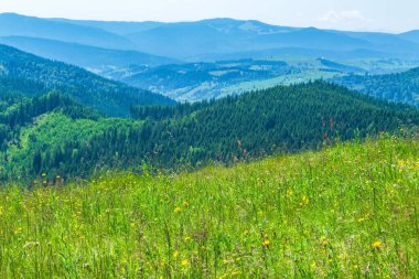 Yazın Karpat Dağları 'nın güzel manzarası