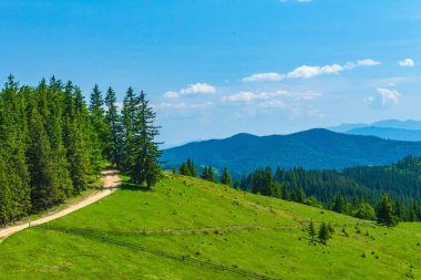 Orman, Karpatlar, Doğa Fotoğrafları - Avrupa, Doğu Avrupa, Romanya - Canon EOS 4000D Lens: EF-S 18-55 mm f / 3.5-5.6 is II