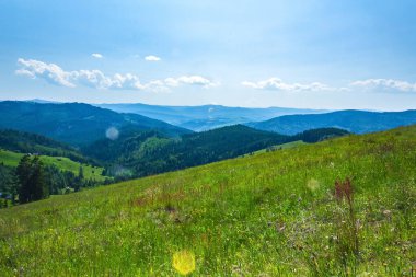 Karpatlar yeşil çayır
