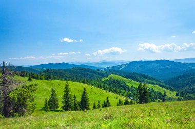 Yaz gününde Karpat Dağları