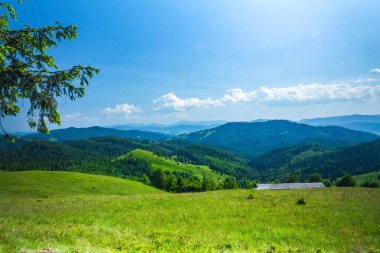 Karpatya dağlarında yaz