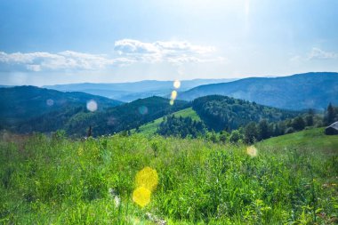 Dağlarda yaz yeşil çayır.