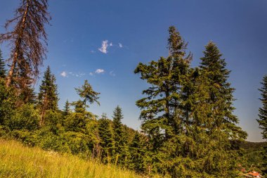 Dağları ve mavi gökyüzü olan güzel bir manzara.