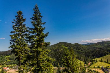 Baharda Karpatlar, dağlar ve ormanlar
