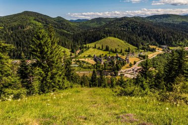 Yeşil ağaçlar ve dağlarla kaplı yaz manzarası