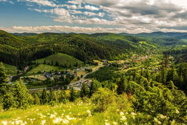 Ormanı ve tepeleri olan güzel dağ manzarası, yaz manzarası, ukraine