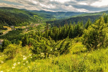 Dağlarda yaz manzarası