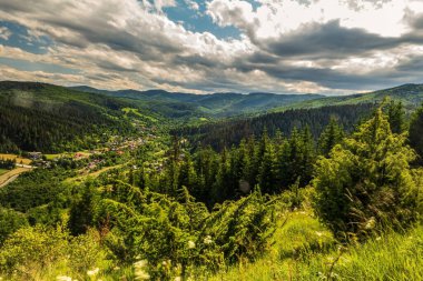 Karpatlar 'da güzel dağ ormanları ilkbaharda Avrupa' da güneşli bir günde