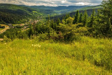 Dağlı ve yeşil çayırlı yaz manzarası.