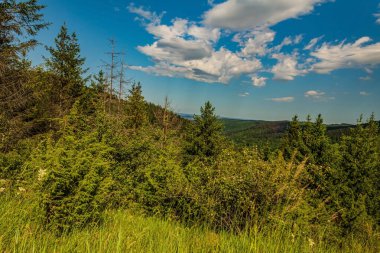Karpatların güzel manzarası, Ukrayna.