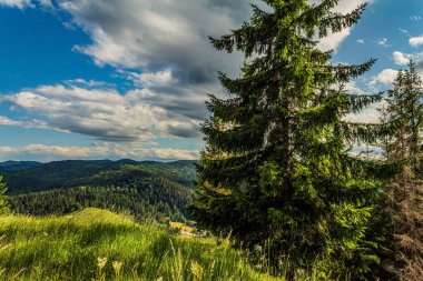 Karpat dağlarının güzel manzarası