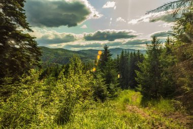 Yazın Karpat Dağları.