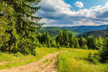 Karpat Dağları 'ndan geçen yol. Dağlarda ağaçlarla kaplı güzel bir manzara..