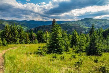 Ormanın içinden geçen güzel bir dağ yolu manzarası.