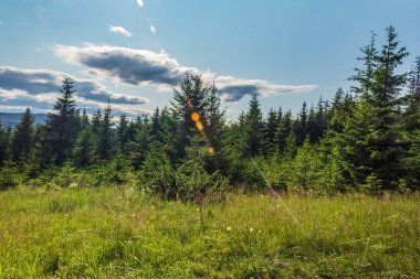 Doğanın güzel manzarası