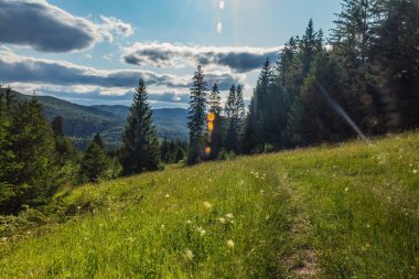 Karpatlar 'da dağ manzarası