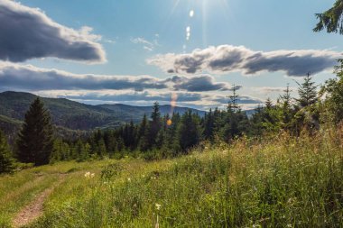 Güzel yaz manzarası. dağ manzarası.