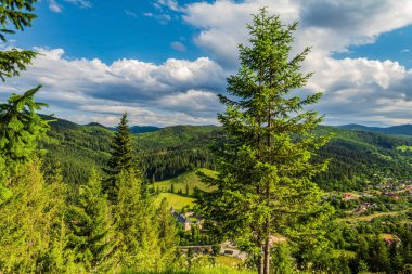 Yazın Karpatların güzel dağları