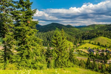 Dağları ve ormanı olan güzel bir manzara.