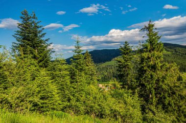 Dağlarda sıradağları olan güzel bir manzara.