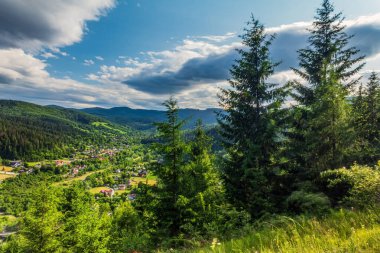 Dağları ve ormanı olan güzel bir manzara.