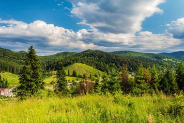 güzel yaz peyzaj Karpat Dağları