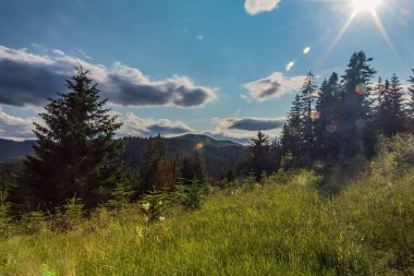 Orman, Karpatlar, Doğa Fotoğrafları - Avrupa, Doğu Avrupa, Romanya - Canon EOS 4000D Lens: EF-S 18-55 mm f / 3.5-5.6 is II