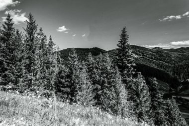 Karpatyadaki dağlar.