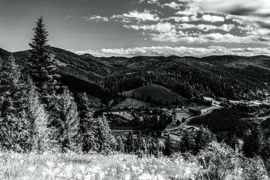 Karpat Dağları 'ndaki siyah ve beyaz manzara