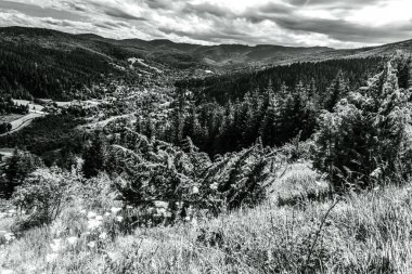 siyah ve beyaz dağ manzarası