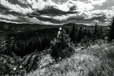 Karpat Dağları 'ndaki siyah beyaz dağ manzarası. siyah ve beyaz